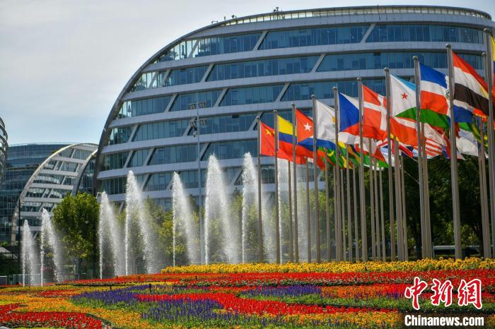 第五屆進(jìn)博會(huì)場館景觀裝飾全面定妝。　陳夢澤 攝